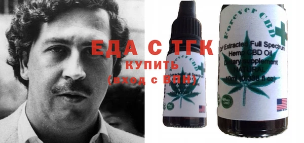 индика Новодвинск