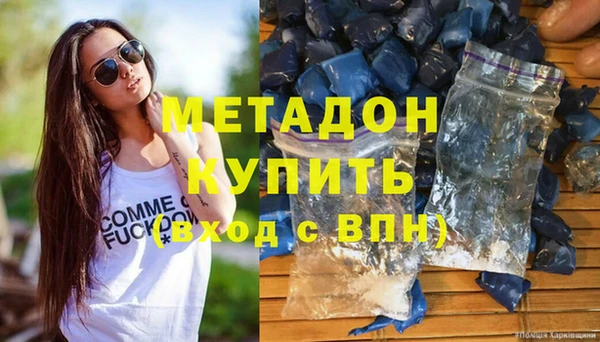 индика Новодвинск