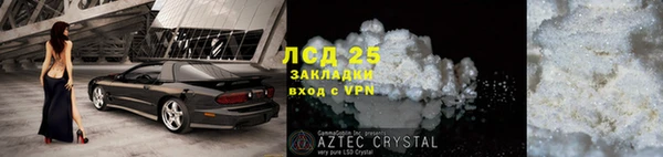 a pvp Новозыбков