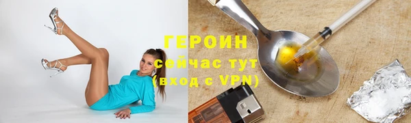 индика Новодвинск