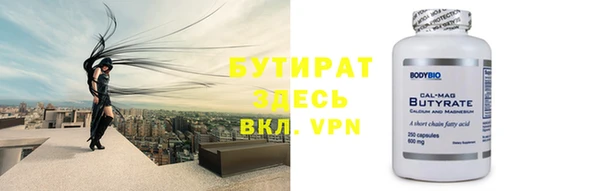 индика Новодвинск