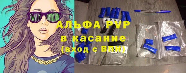 a pvp Новозыбков