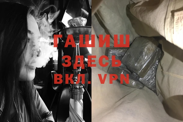 индика Новодвинск