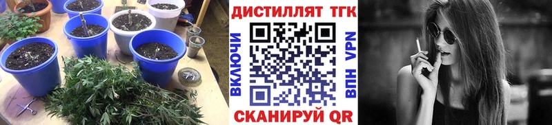 Дистиллят ТГК гашишное масло  что такое наркотик  Любань 